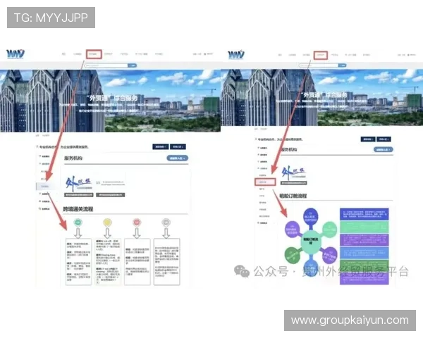 开云在线管理平台操作指南帮助新手快速上手实现业务流程优化